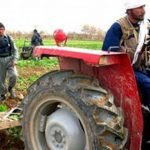 تخریب ۲۶ جریب زمین تحت کشت مواد مخدر در فراه