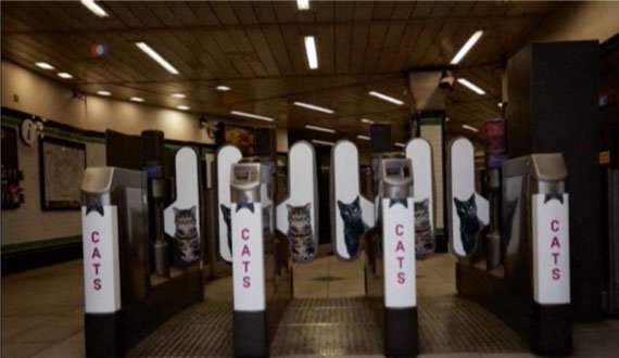 بیلبوردهای تبلیغاتی مترو لندن به تسخیر گربه‌ها درآمد