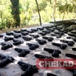 کشف و ضبط یک محموله بزرگ سلاح در هرات