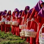 وزارت زراعت: زنان کشاورز در کابل افزایش یافته‌اند