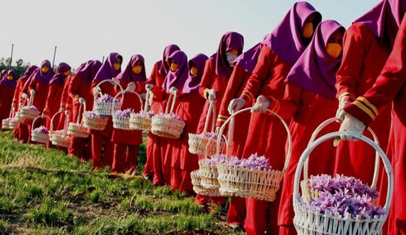 وزارت زراعت: زنان کشاورز در کابل افزایش یافته‌اند