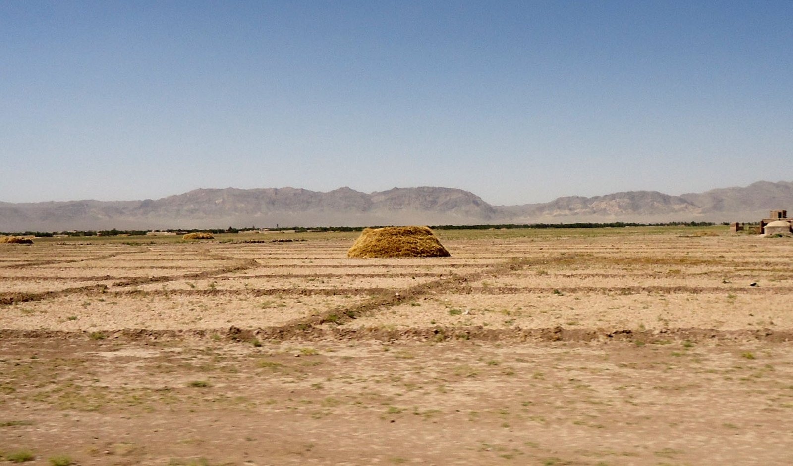 تقسیم میراث در بادغیس، شش کشته و چهار زخمی برجای گذاشت