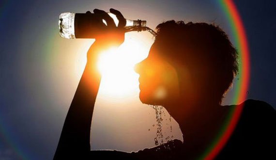 آیا بهترین ترکیبات برای درمان گرمازدگی را می‌شناسید؟