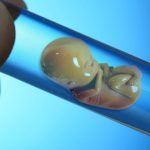 دانشمندان روسیه موفق به ساخت مغز در شرایط آزمایشگاهی شدند