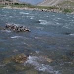 مسئولان ریاست زراعت فراه: کاهش آب‌های زیر زمینی فاجعه بار است