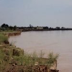 نگرانی از شکار حیوانات کمیاب در هرات