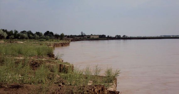 نگرانی از شکار حیوانات کمیاب در هرات