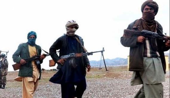 بیش از ۲۰ مخالف مسلح در ارزگان کشته شدند