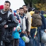 اخراج ۵۰۰ پناهجوی افغان از بلژیک