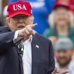 اقتصاددان منتقد چین رییس شورای تجارت آمریکا شد