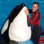 درگذشت نهنگی که در حین اجرا مربی‌اش را صید کرده بود