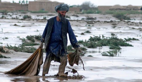 ریزش برف و باران تلفات سنگینی به ساکنان هرات وارد کرده است