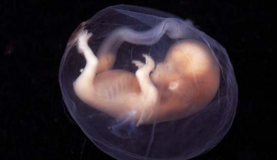 کشف ۱۹ جنین دختر در هند