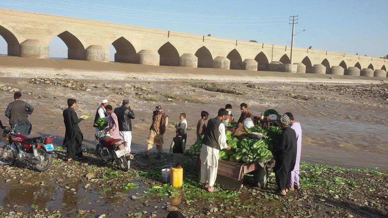 عکس‌های ارسالی شهروند خبرنگاران