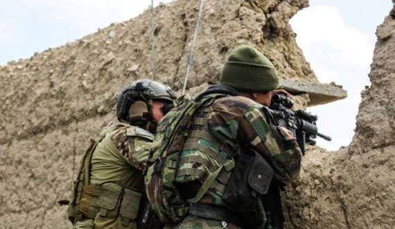 عملیات مشترک افغانستان-آمریکا در فراه؛ چندین پیکارجوی طالب کشته شدند