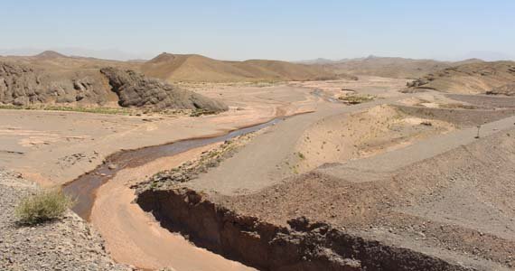کامران علیزایی: وزارت انرژی و آب برای پایان کار بند “پاشدان” بی‌پروا هست