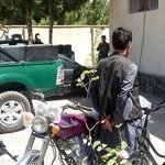 پولیس هرات یک سارق را بازداشت کرد