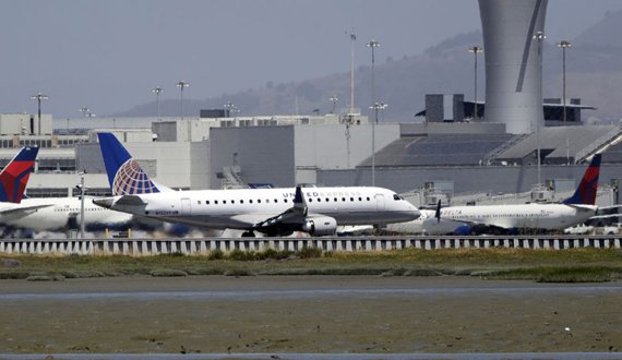 حمله گروهی زنبورها به یک هواپیما