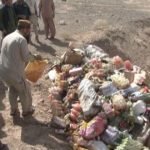 حریق ۱۸ تن مواد غذایی بی کیفیت در ولایت فراه