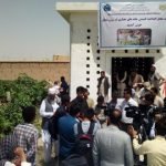 ۳۶۴ کشمش خانه در زون شمال به بهره برداری سپرده شدند
