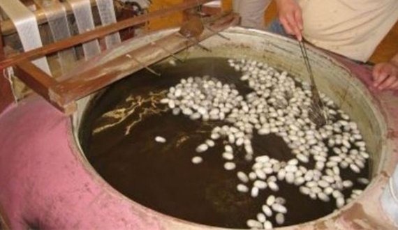 مسئولان: برای بیش از ۷۵۰ تن از زنان هرات جعبه های پیله وری توزیع شده است