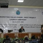 افتتاح برنامه “تقویت زنجیره‌ای ارزش گندم و دامداری” در افغانستان