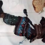 بخشیدن مهریه، عامل کشته شدن یک زن در غور