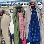 طالبان چادری پوش ۳ پلیس را در هرات کشتند