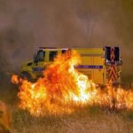 اعلام حالت فوق العاده در کالیفرنیا به علت آتش سوزی