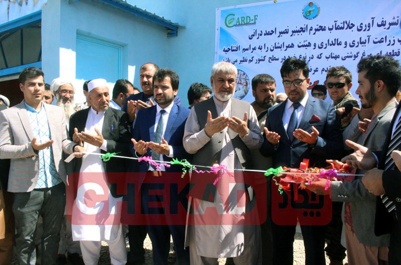 افتتاح بزرگترین فارم پرورش مرغ گوشتی در هرات