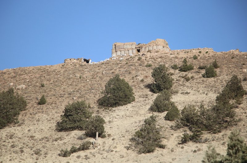 ۲۲ پیکارجوی طالب در ولایت بادغیس کشته شدند