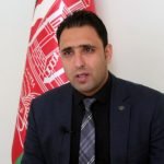 درخت‌های پارک ایکو در هرات در آستانه نابودی