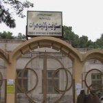 عواید اداره مستوفیت ولایت هرات شش درصد افزایش یافته است.