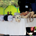 نمایشگاه صنایع دستی زنان در هرات برگزار شد
