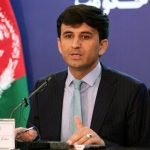 آغاز توزیع نهال پسته در ولایت‌های شمالی کشور