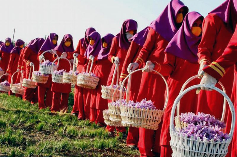 توجه سرمایه‌گذاران چینی در بخش بسته‌بندی زعفران و جلغوزه افغانستان