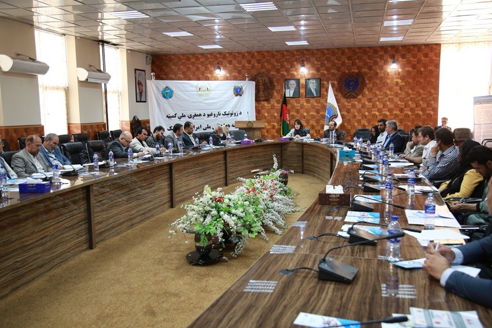 وزارت صحت عامه افغانستان پیرامون شیوع بیماری تب کنگو در عید قربان هشدار داد