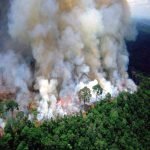 سران گروه ۷ به توافق همکاری برای مقاله با آتش جنگل‌های آمازون نزدیک شدند
