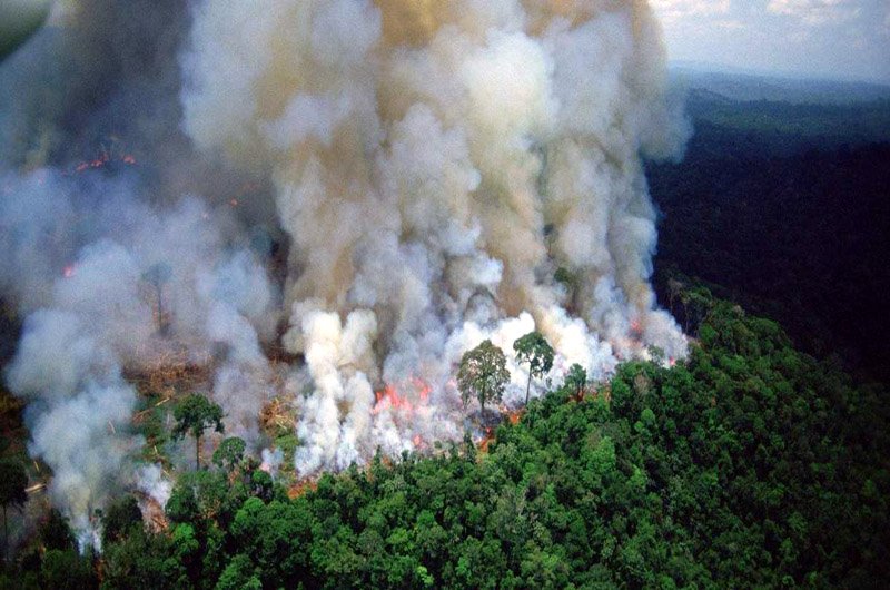 سران گروه ۷ به توافق همکاری برای مقاله با آتش جنگل‌های آمازون نزدیک شدند