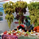 هرات میزبان نمایشگاه سه روزه عسل و انگور افغانستان شد