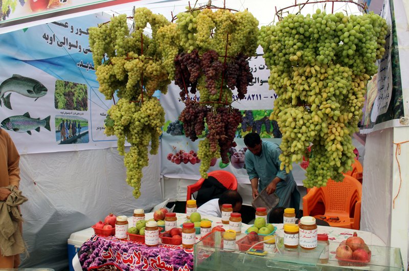هرات میزبان نمایشگاه سه روزه عسل و انگور افغانستان شد