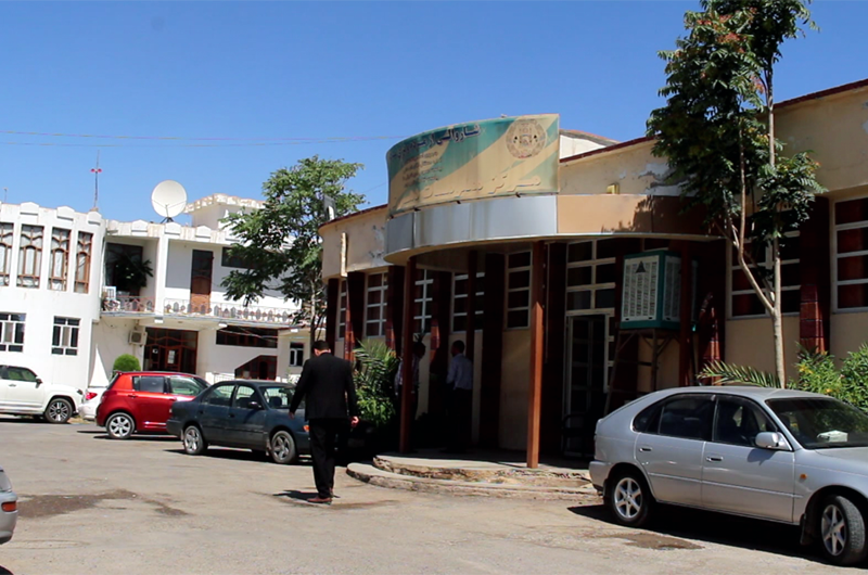 اقدامات شهرداری هرات برای عید قربان، چهار دروازه شهر برای فروش مواشی تعیین شد