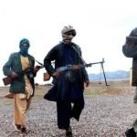 تبدیل انار دره به گورستان پیکارجویان طالب؛ ۳۵ عضو این گروه کشته شدند