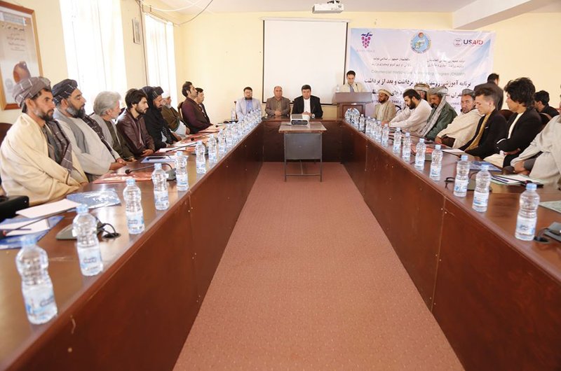 ریاست زراعت هرات یک ورکشاپ آموزشی زعفران در این ولایت راه‌اندازی کرد