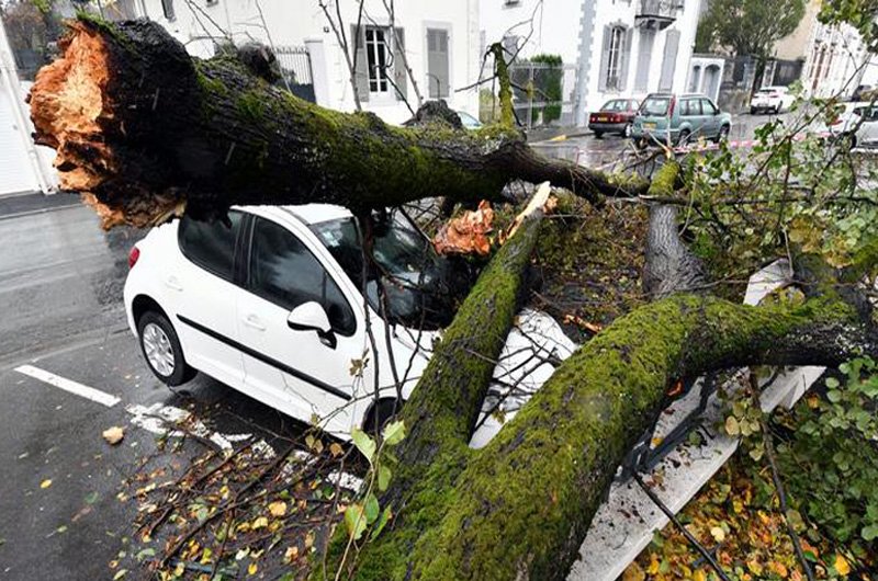 طوفان جنوب غرب فرانسه را به خاموشی فرو برد، برق ۵۵ هزار خانه قطع شد