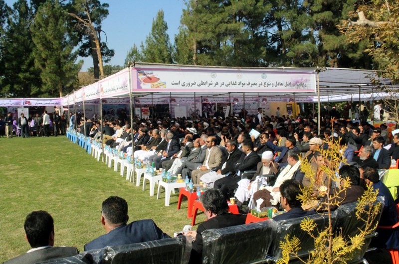 پنجمین جشنواره زعفران افغانستان در هرات افتتاح شد