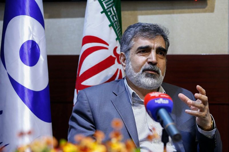 ایران از بازداشت بازرس آژانس بین‌المللی اتمی دفاع کرد