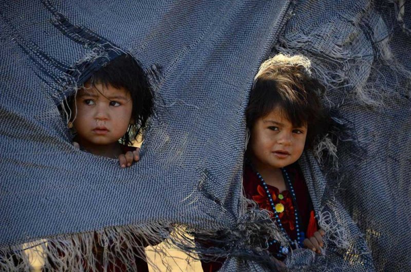 کودکان آواره در هرات صاحب مکتب می‌شوند