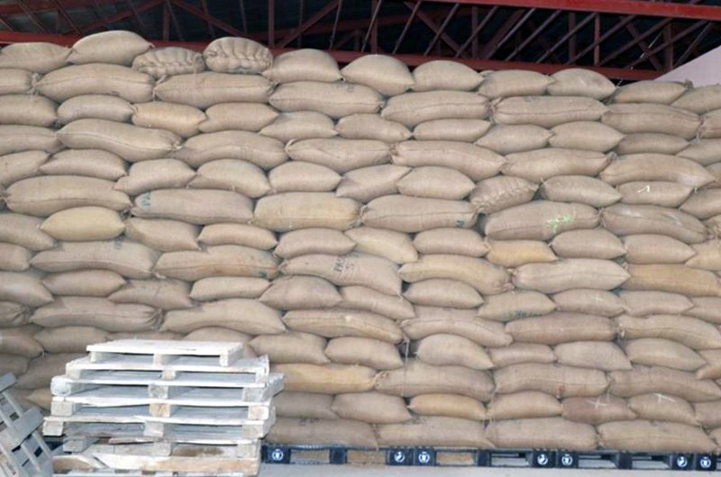 گندم در افغانستان به مرز کمبود نزدیک شد