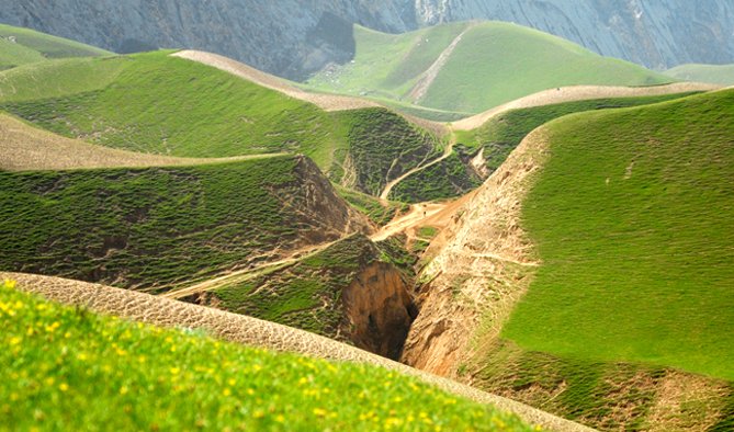 Afghanistan-Nuture (1)